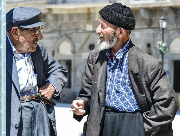 The role of the mother tongue in second language acquisition