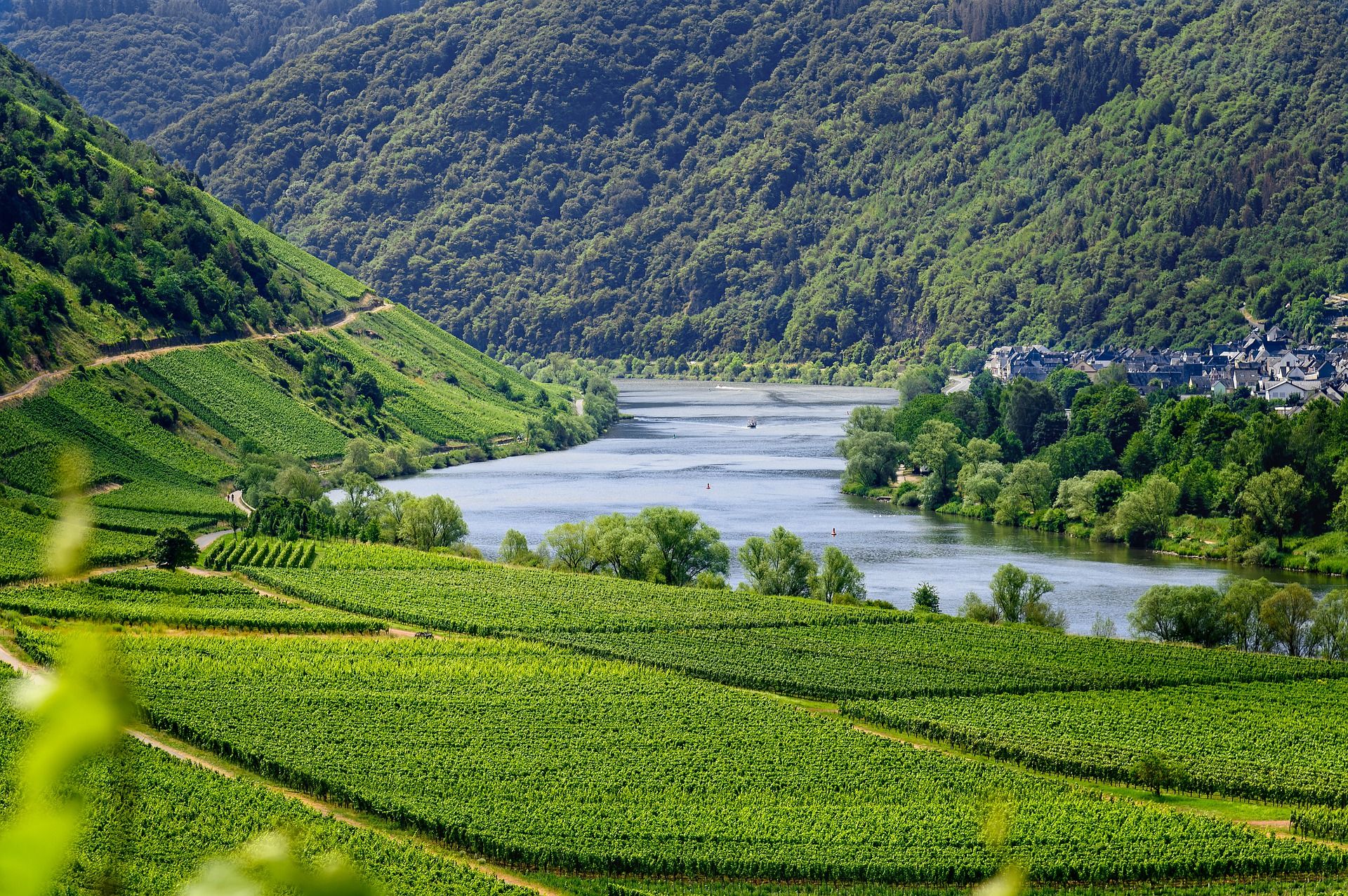 The Mosel Valley in Germany