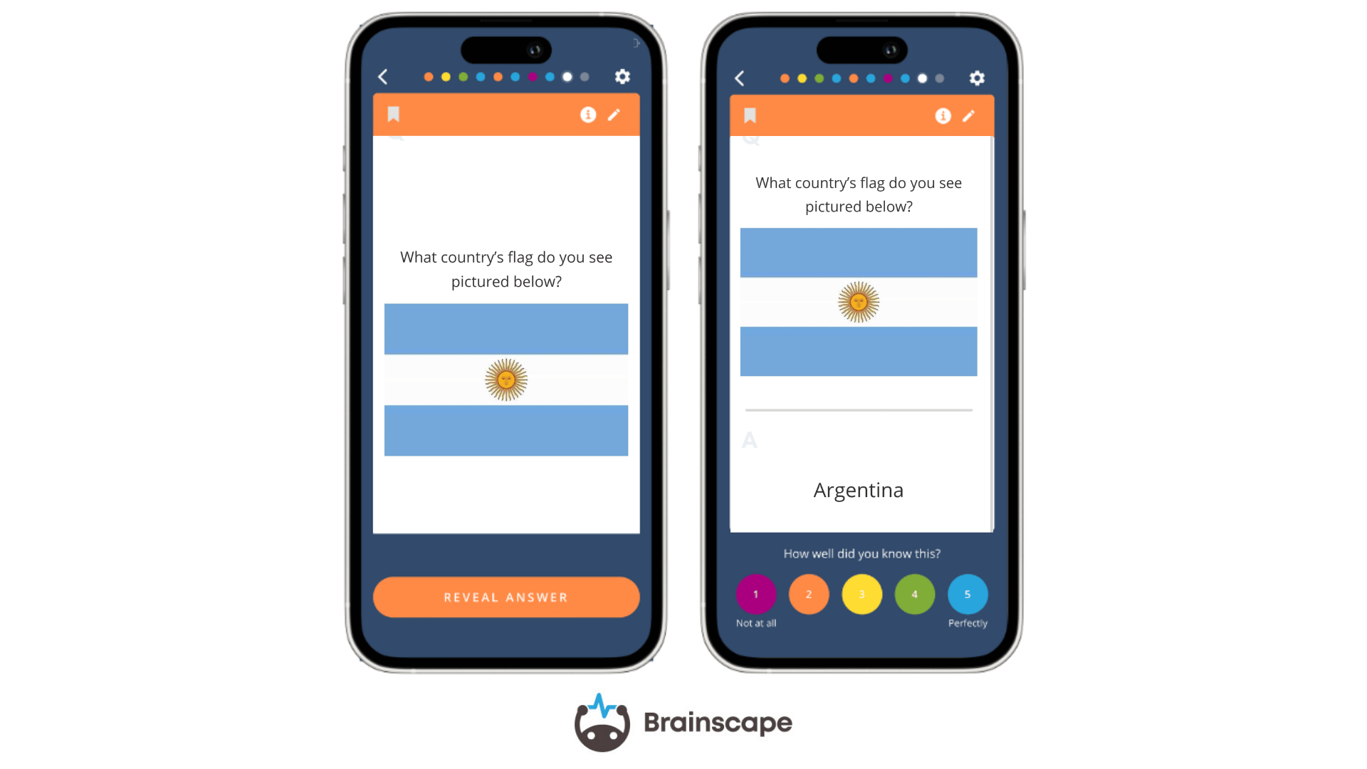 Brainscape Knowledge Rehab flashcards