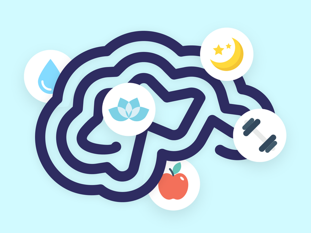 Optimize Your Brain Health For Effective Studying