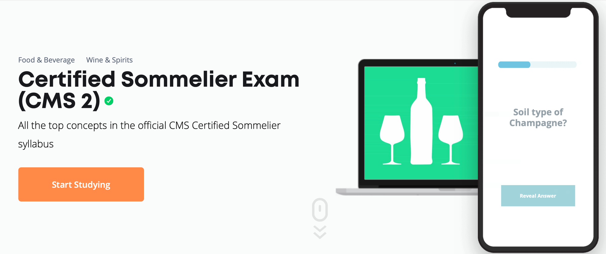 Brainscape CMS level 2 digital flashcards