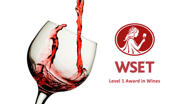 How to Study for the WSET Level 1 Exam More Efficiently
